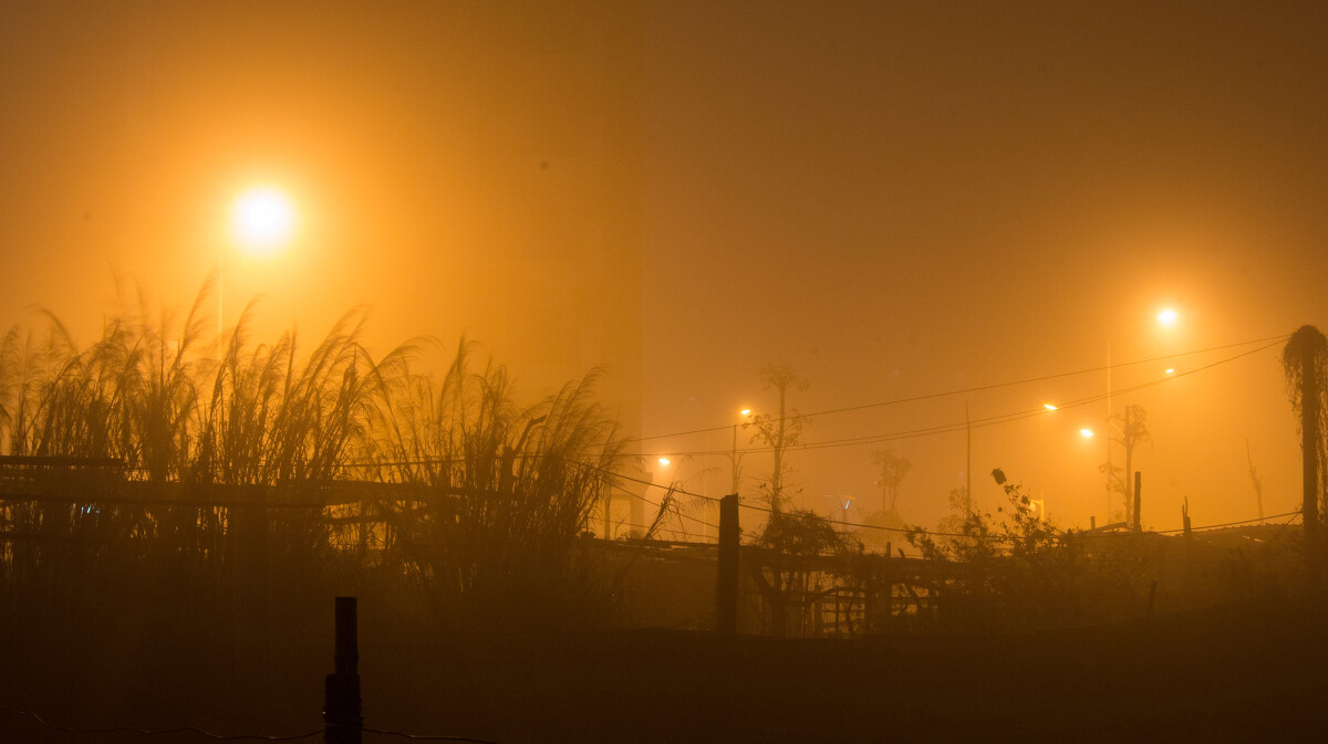 【临江仙】雾野迷踪